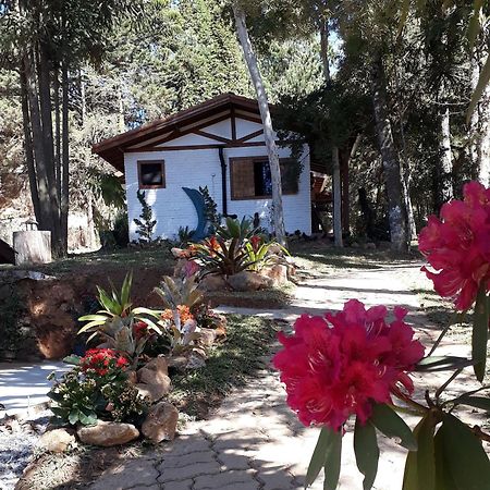 Chales Anecuem Monte Verde  Exterior foto