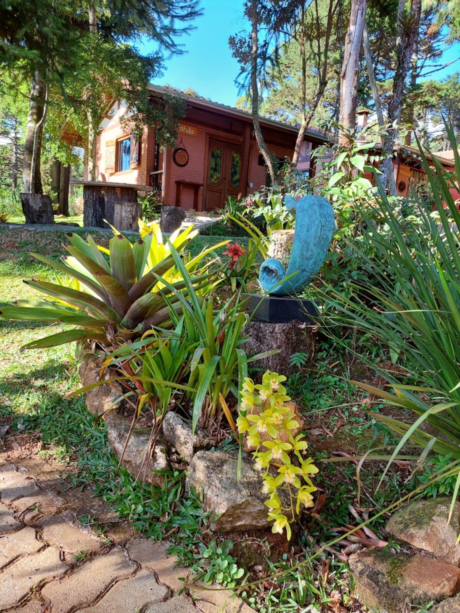 Chales Anecuem Monte Verde  Exterior foto