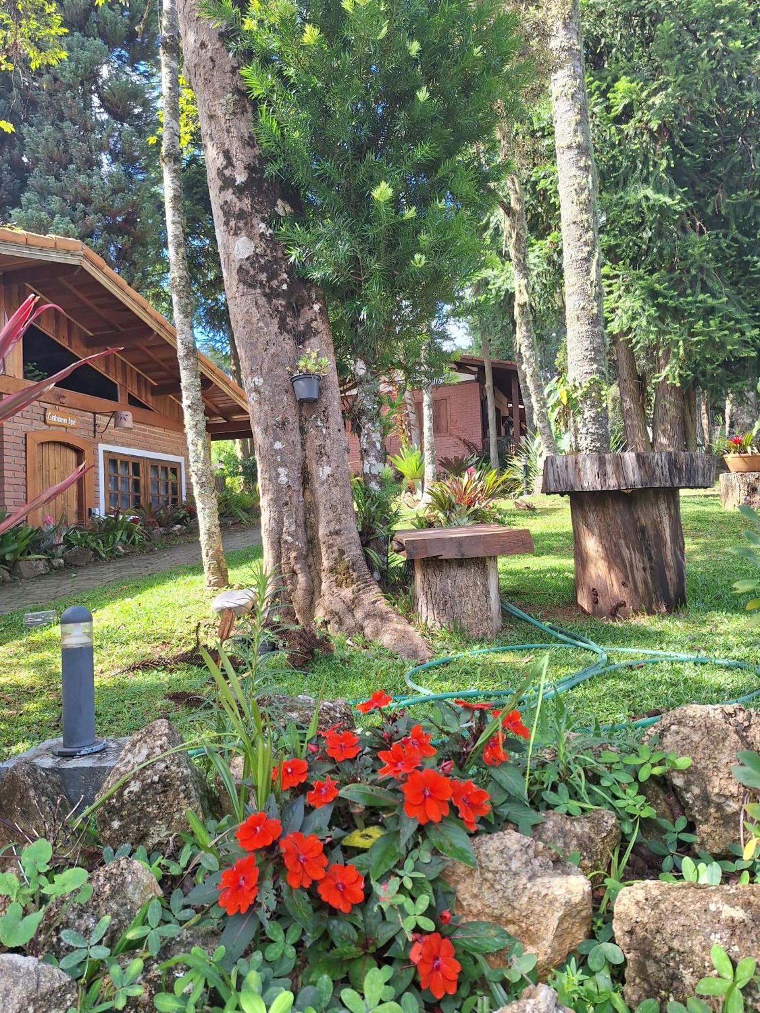 Chales Anecuem Monte Verde  Exterior foto